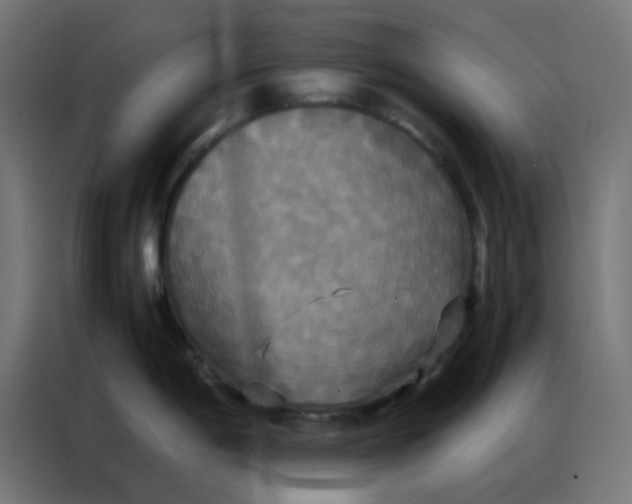 X0000086791198200705041542