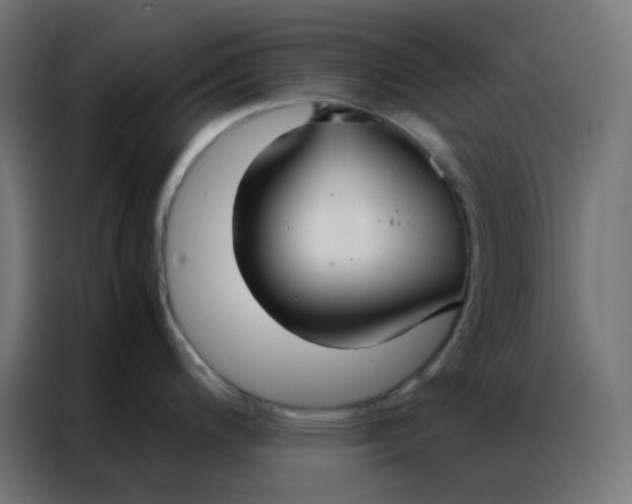 X0000086791200200705041542