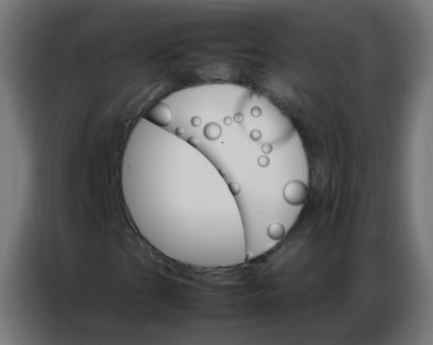 X0000086791201200705041541