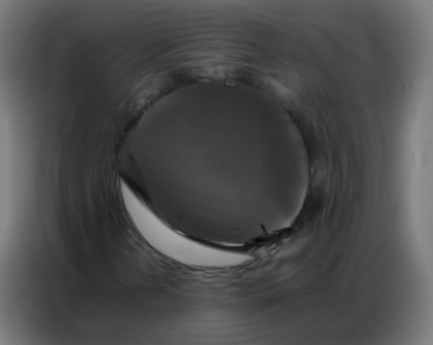 X0000086791202200705041541