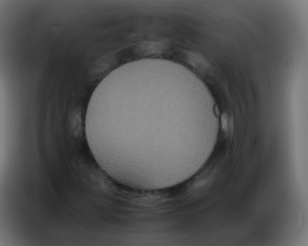 X0000086791203200705041541