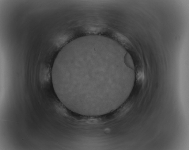 X0000086791204200705041541