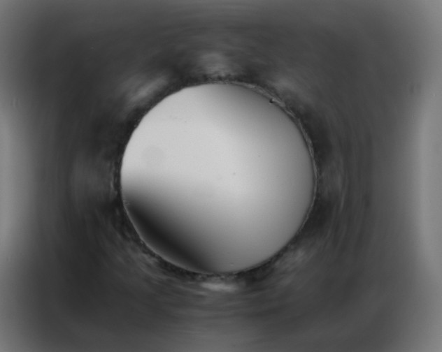 X0000086791205200705041541