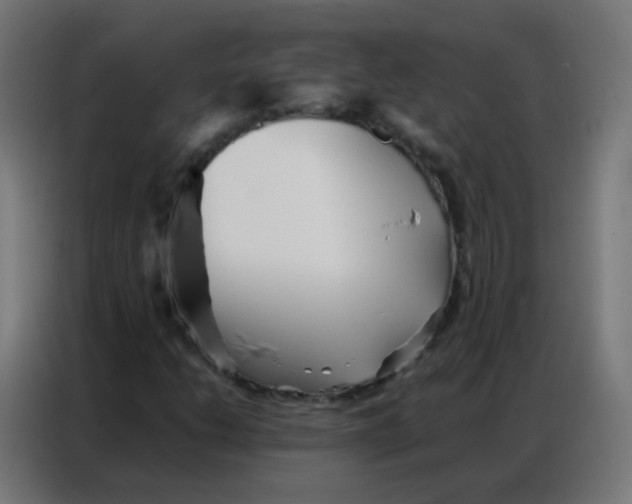 X0000086791206200705041541