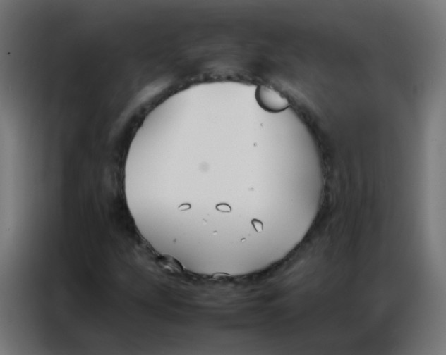 X0000086791207200705041541