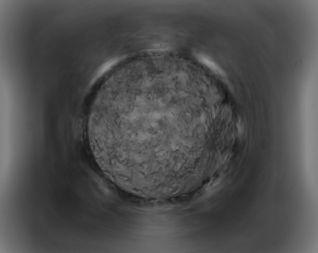 X0000086791208200705041541