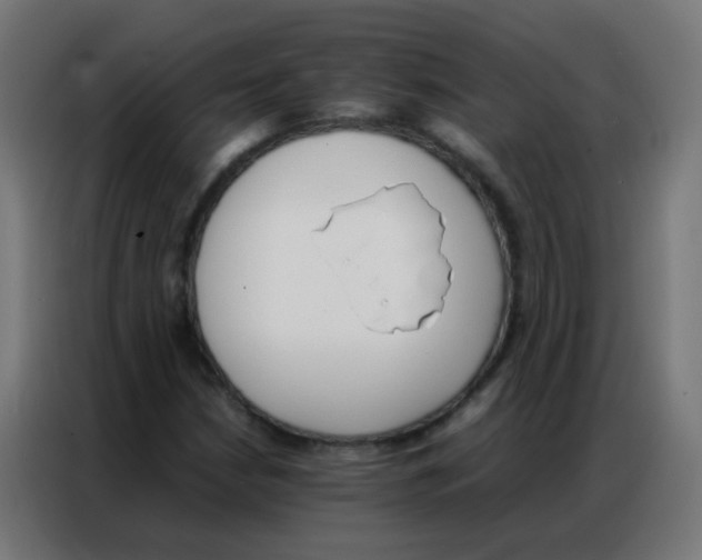 X0000086791210200705041541