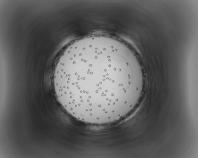 X0000086791211200705041541