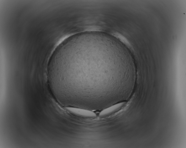 X0000086791212200705041541