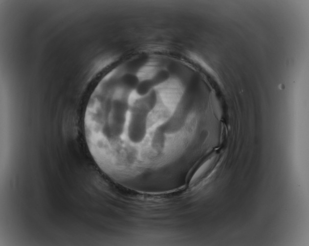 X0000086791213200705041541