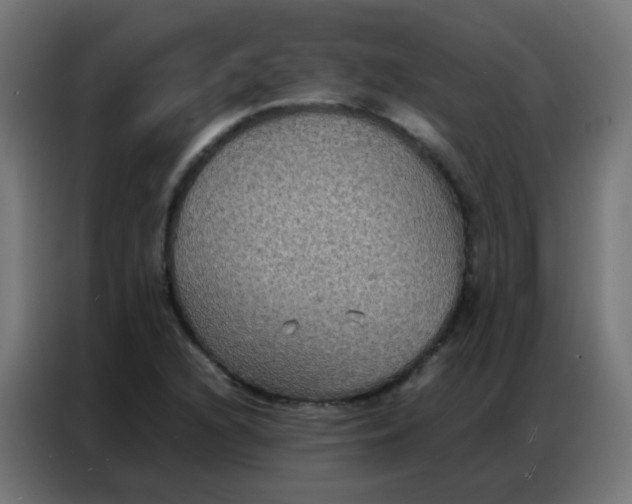 X0000086791216200705041541