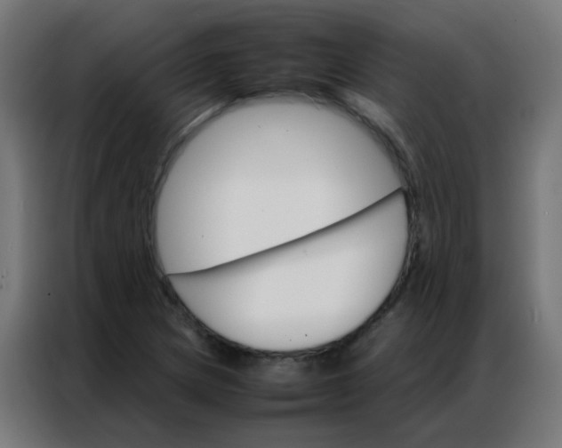 X0000086791217200705041541