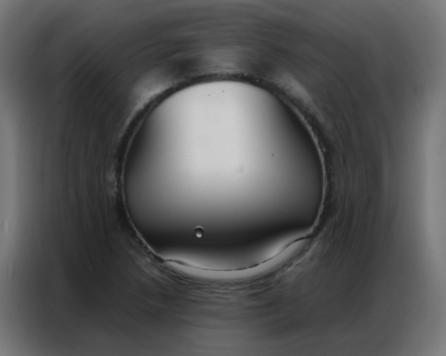 X0000086791218200705041541