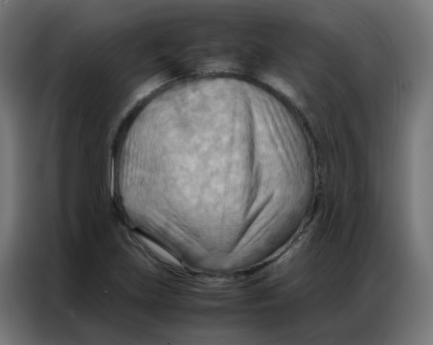 X0000086791219200705041541