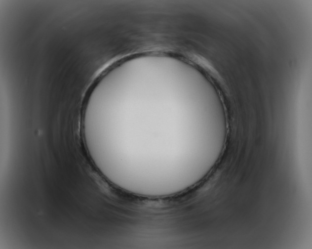 X0000086791220200705041541