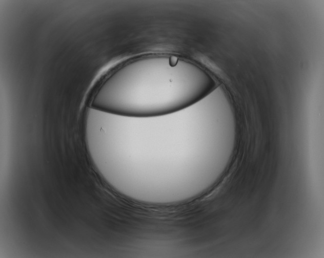 X0000086791222200705041541