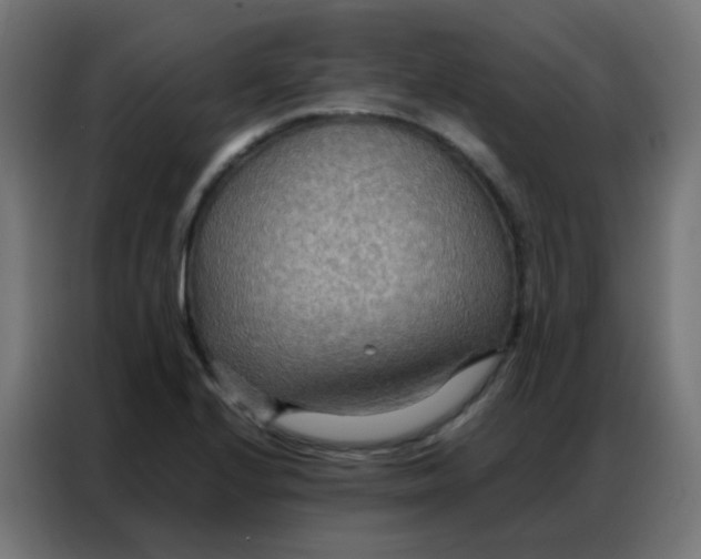 X0000086791224200705041541