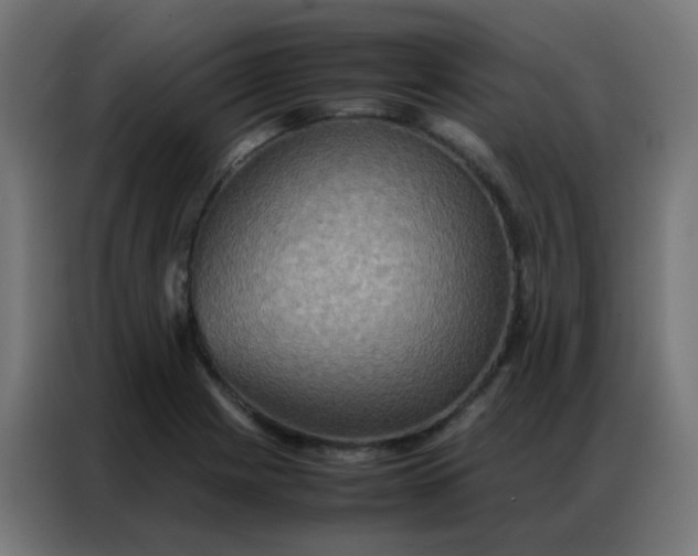 X0000086791225200705041541