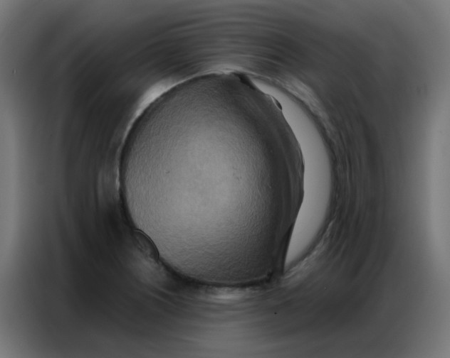 X0000086791226200705041541