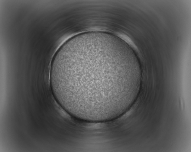 X0000086791228200705041541