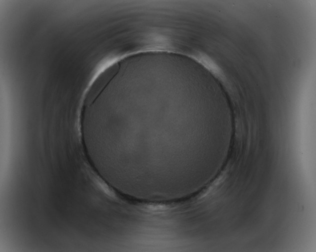 X0000086791230200705041541