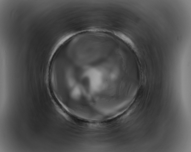 X0000086791231200705041541