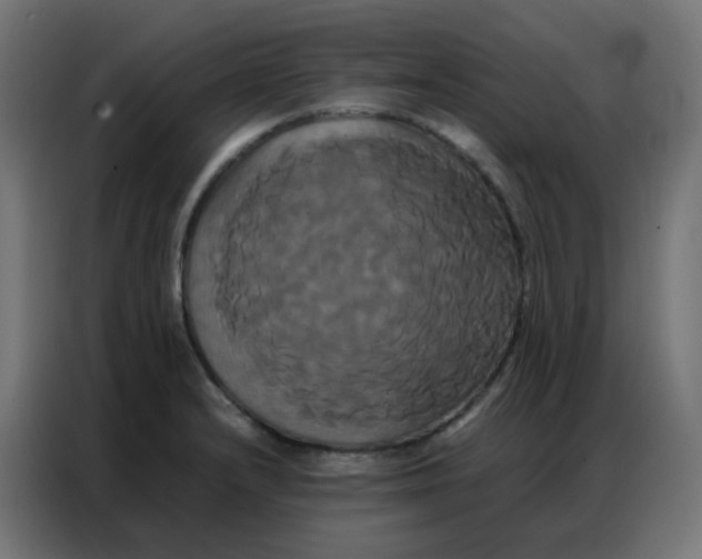 X0000086791232200705041541