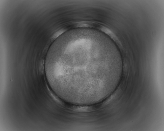 X0000086791233200705041541