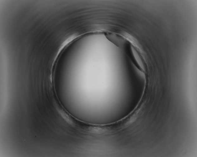 X0000086791234200705041541