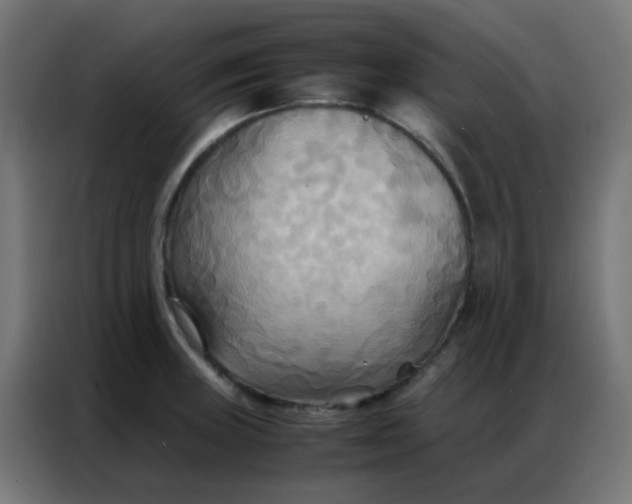 X0000086791235200705041541