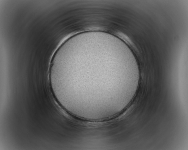 X0000086791236200705041541