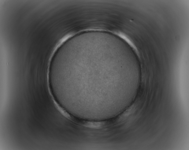 X0000086791237200705041541