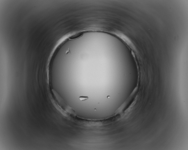 X0000086791238200705041541