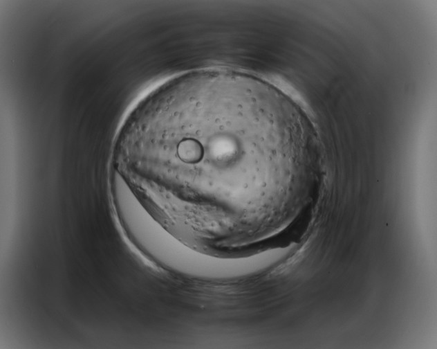 X0000086791239200705041541