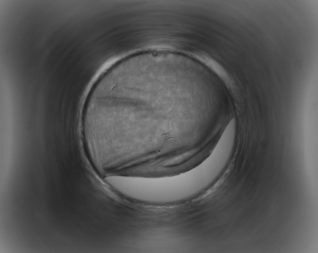 X0000086791240200705041541