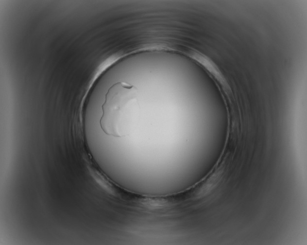 X0000086791242200705041541