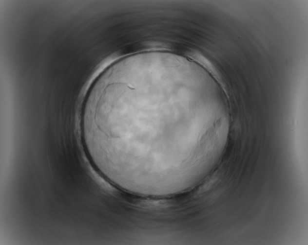 X0000086791243200705041541