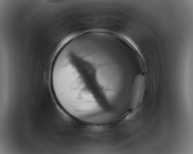 X0000086791245200705041541