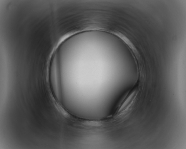 X0000086791246200705041541