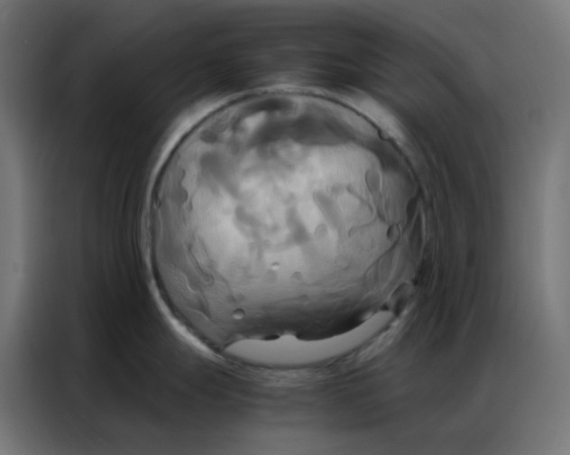 X0000086791247200705041541