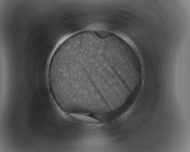 X0000086791248200705041542