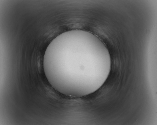 X0000086791250200705041541