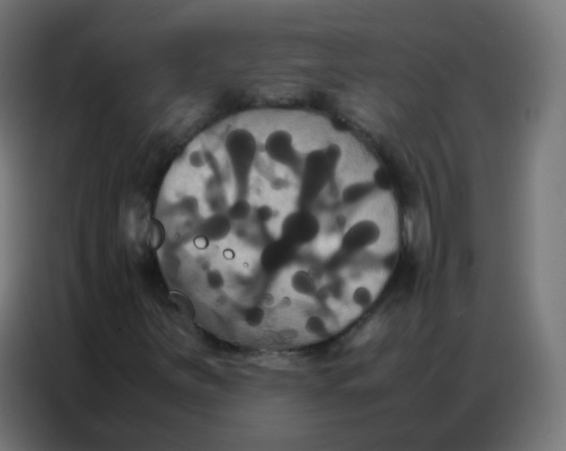 X0000086791251200705041541