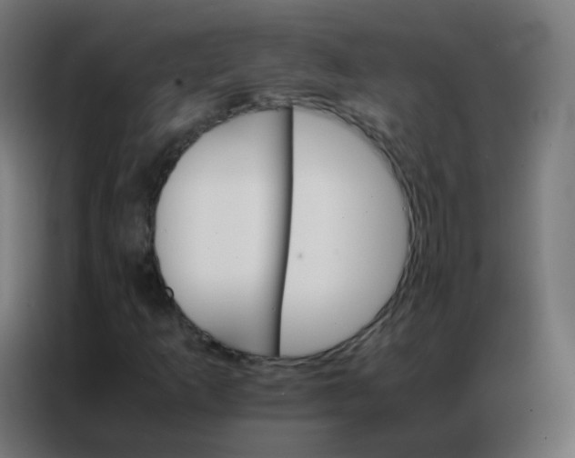 X0000086791253200705041541