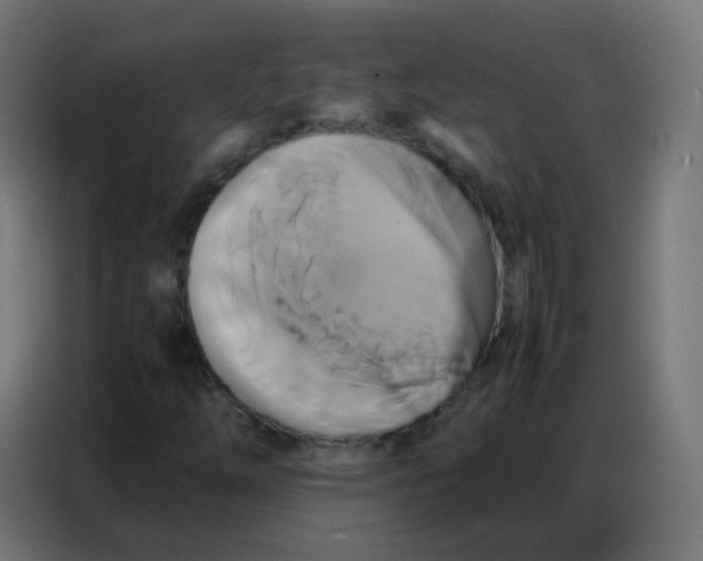 X0000086791254200705041541