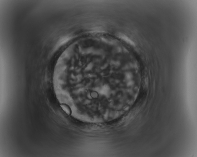 X0000086791255200705041541