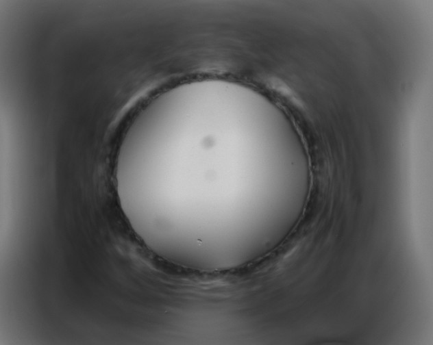 X0000086791256200705041541