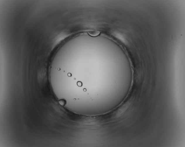 X0000086791259200705041541