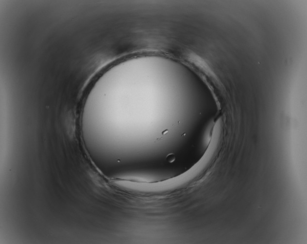 X0000086791260200705041541