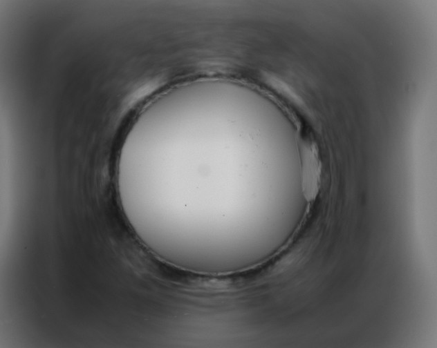 X0000086791261200705041541